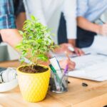 close-up-pot-plant-architect-workplace_23-2147839872